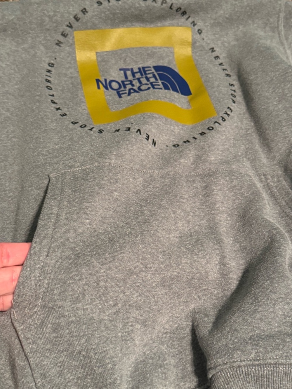 The North Face Gray Pullover Hoodie - Large - Picture 2 of 4